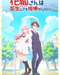 Hanaori-san wa Tensei shitemo Kenka ga Shitai